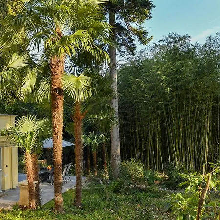 Lovely Mit Terrace,unique Location,near The But Middle Of Bamboo And Palm Park Opatija