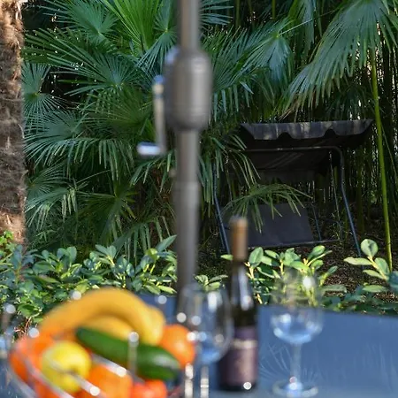 Lovely Mit Terrace,unique Location,near The But Middle Of Bamboo And Palm Park Apartamento Opatija